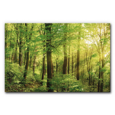 Akustikbild Wald 2