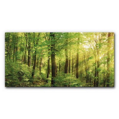 Akustikbild Wald 2