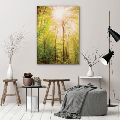 Akustikbild Wald