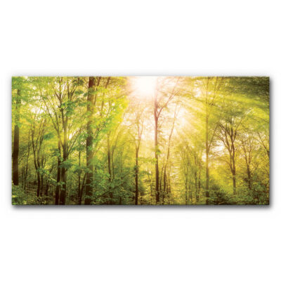 schallabsorber wand akustikbild wald 1 3