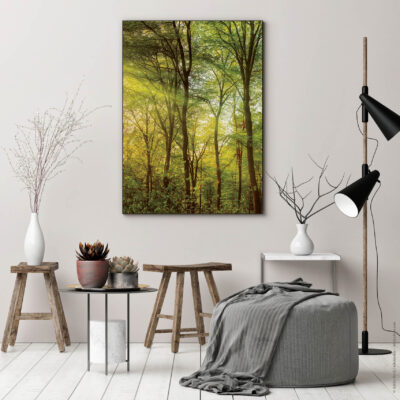 Akustikbild Wald 3