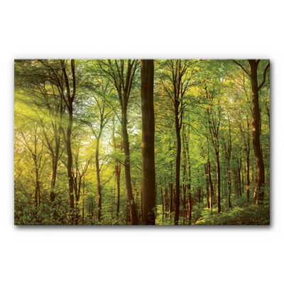 Akustikbild Wald 3