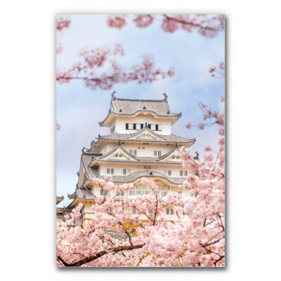 Akustikbild Tempel mit Kirschblüten