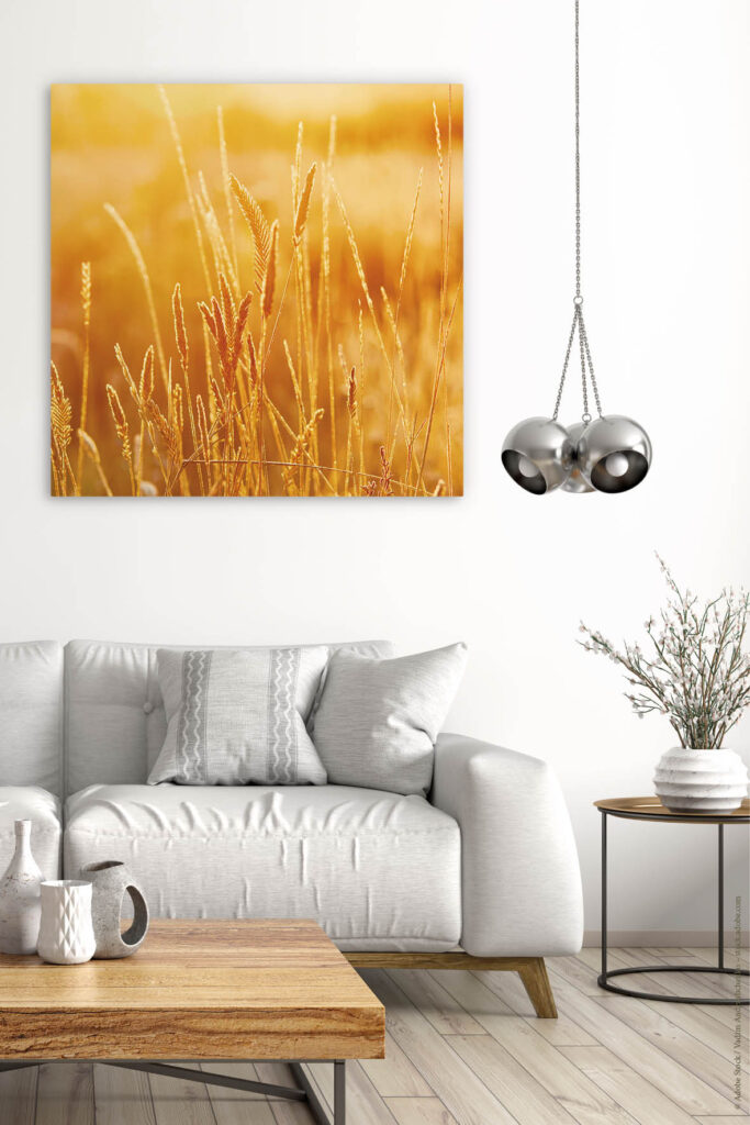 Akustikbild Kornfeld