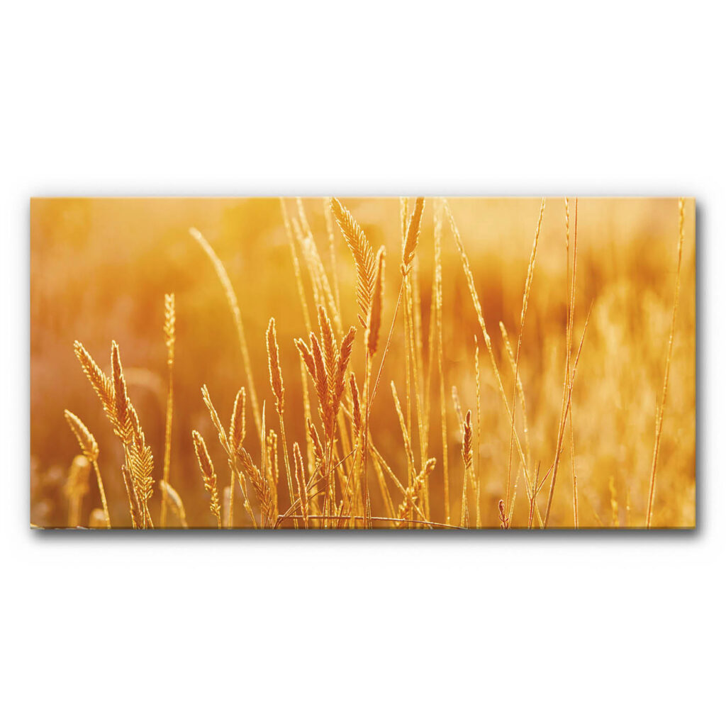 Akustikbild Kornfeld