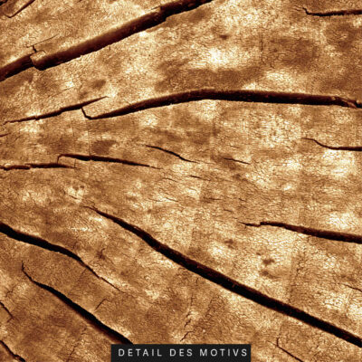 Akustikbild Wood 2