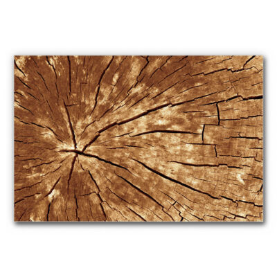 Akustikbild Wood 2