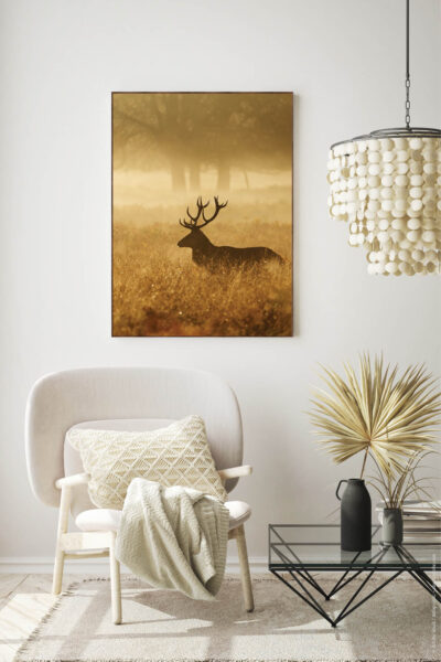 Akustikbild Hirsch