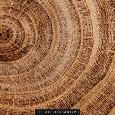 Akustikbild Wood 3