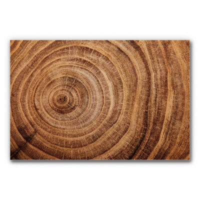 Akustikbild Wood 3