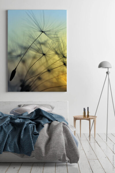 Akustikbild Pusteblume