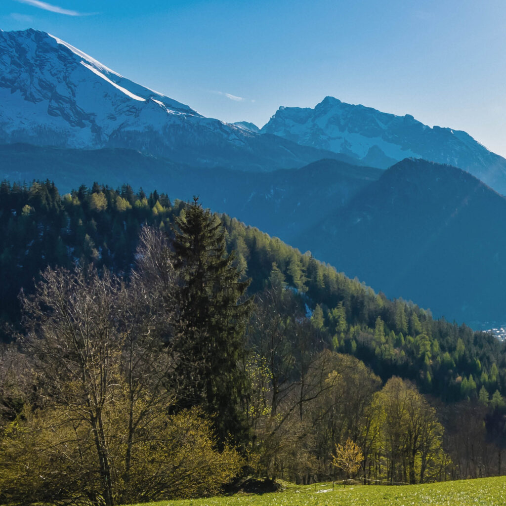 Akustikbild Bayerischer Wald