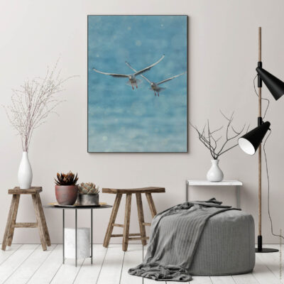 Akustikbild Zwei Möwen im Flug