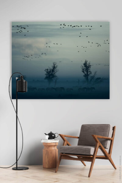Akustikbild Pferde im Nebel