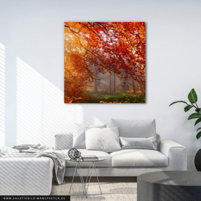 Akustikbild Herbstwald 3