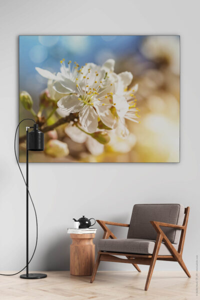 Akustikbild Kirschblüte 2