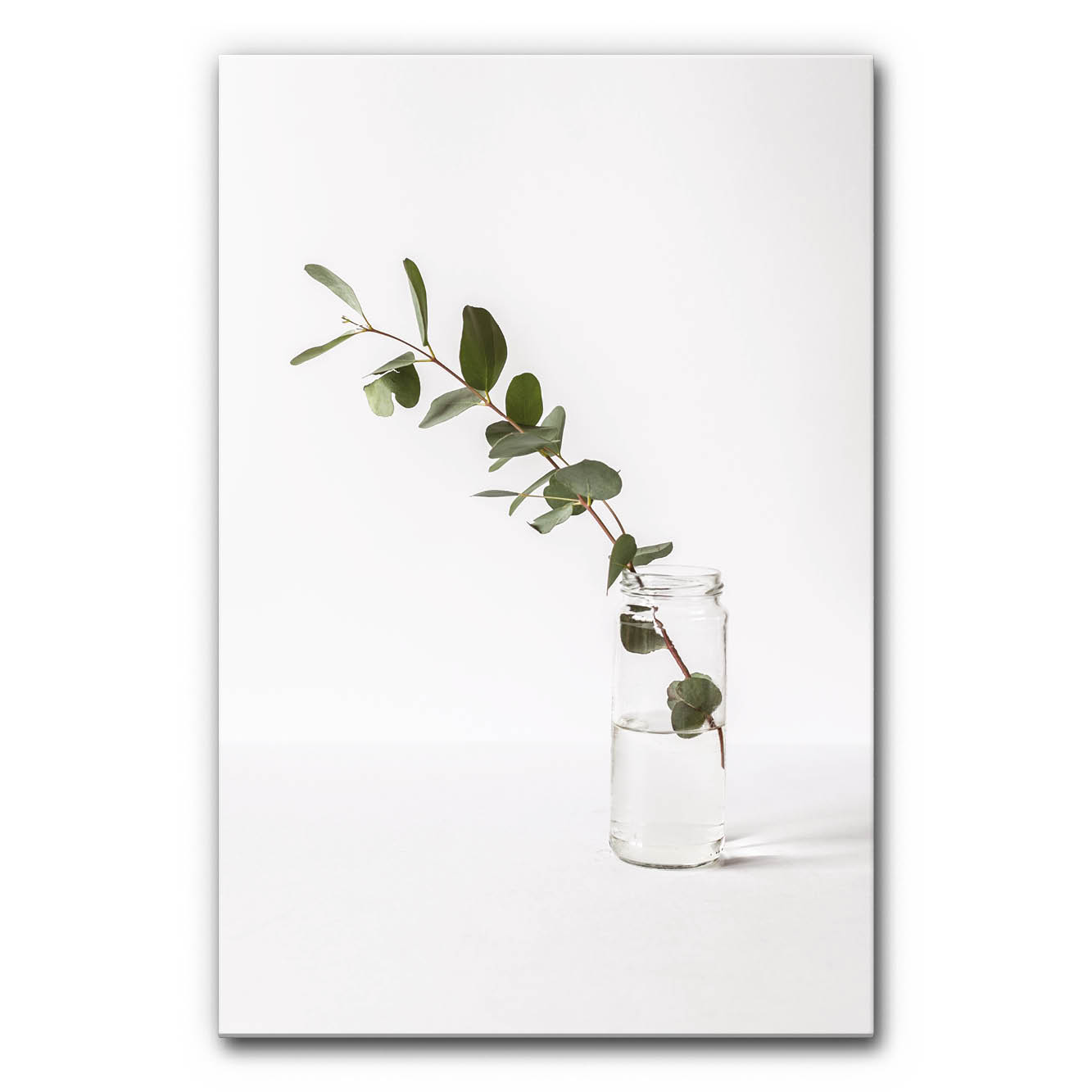 akustikelement-wandabsorber-akustikbild-wanddeko-herbst-scandinavian-vertical-garden-eucalyptus-kleiner-garten-6