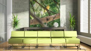 Definition Akustikbild – Was ist ein Akustikbild?