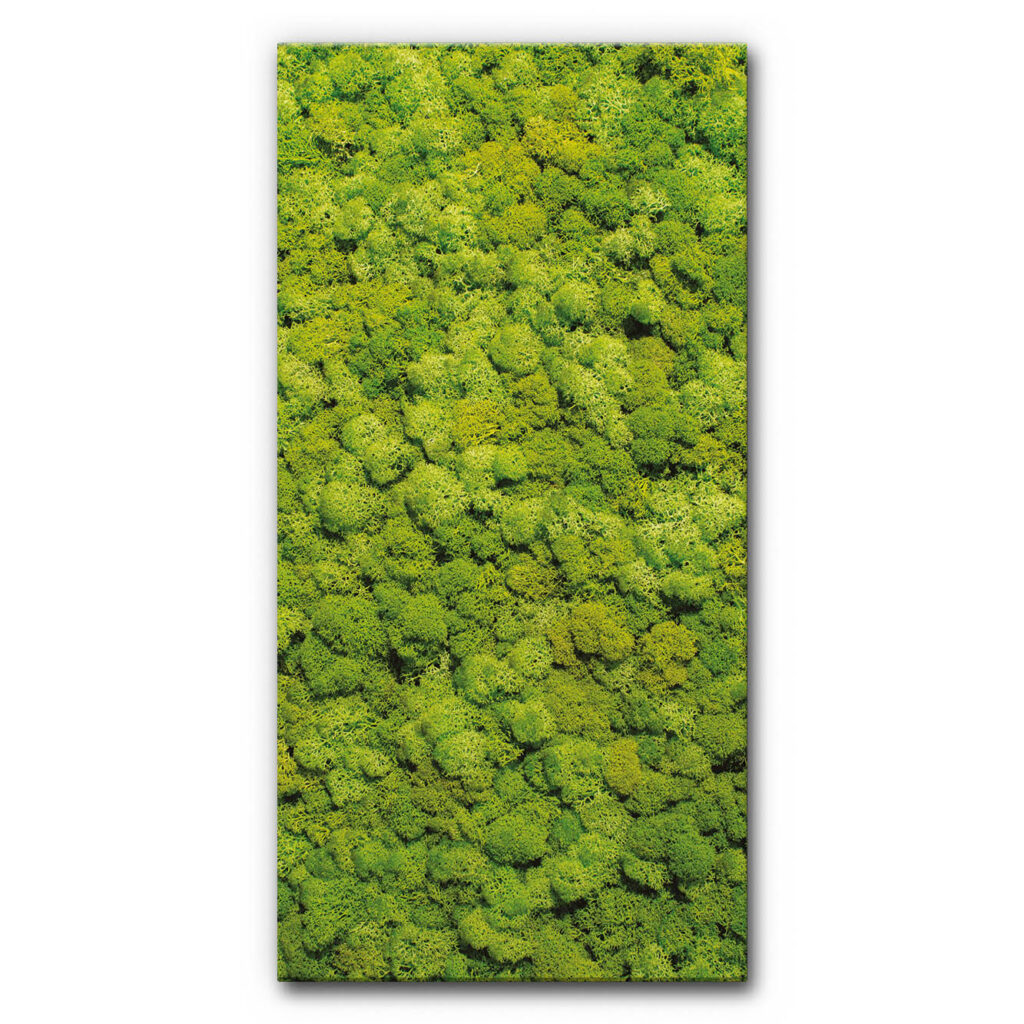 Akustikbild Moosbild VIII