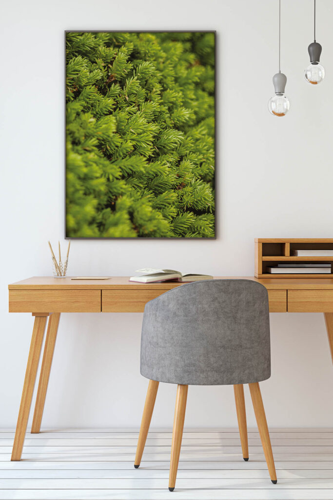 Akustikbild Moosbild I