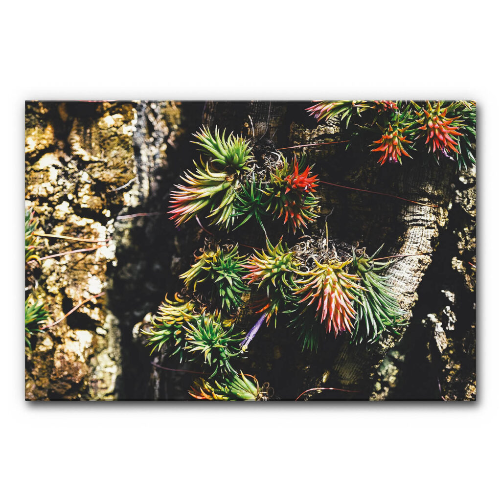 Akustikbild Vertical Garden