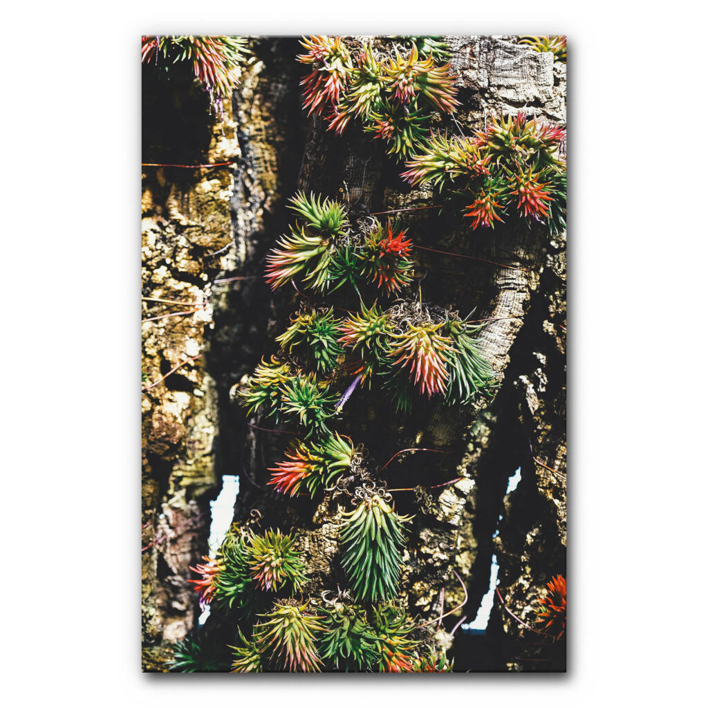 Akustikbild Vertical Garden