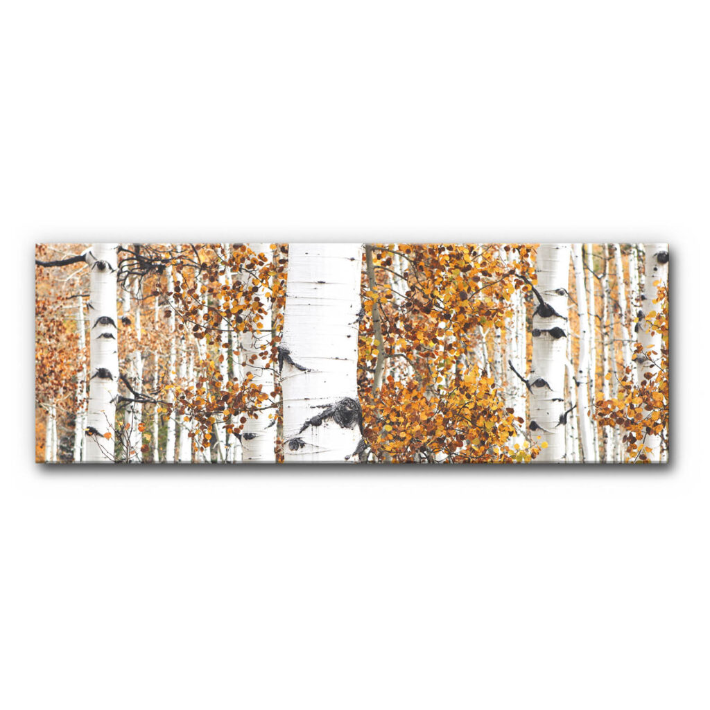 Akustikbild Goldener Birkenwald