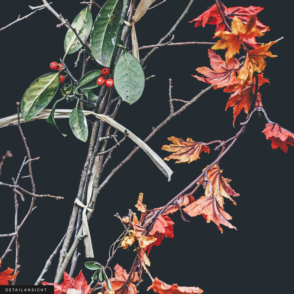 Akustikbild Red Leaves on Black