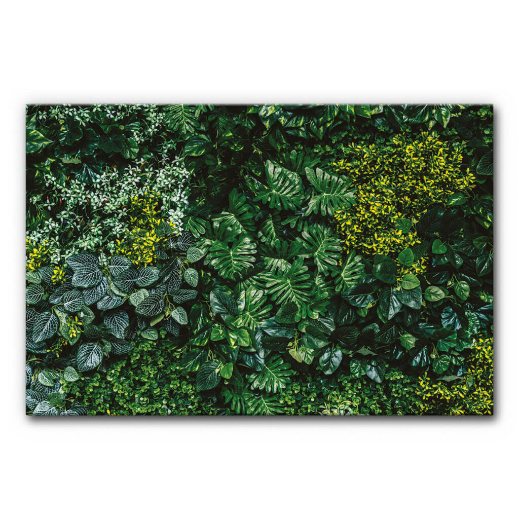 Schalldämmendes Bild grüne Wand zeigt dicht angeordnete, unterschiedliche Blattformen, die eine üppige vertikale Pflanzenfläche darstellen.