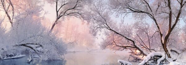 header winter gestaltung 2