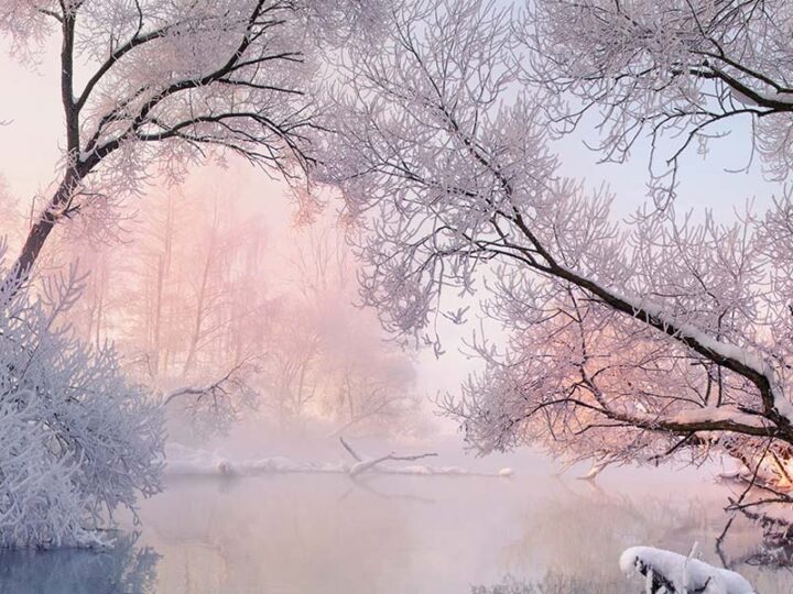 Winterstimmung mit Textilwechselrahmen: 4 Ideen für Wintermotive