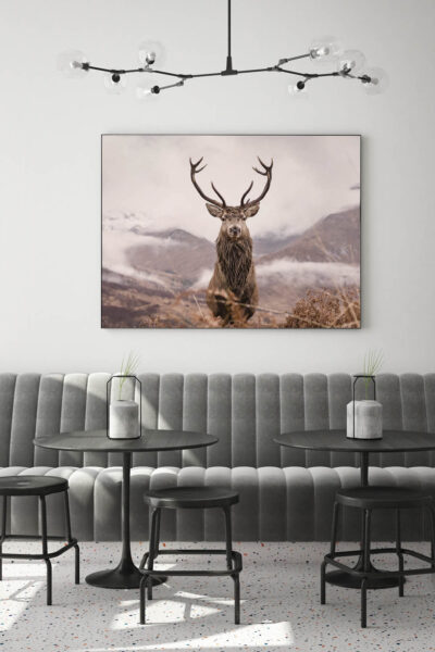 Akustikbild Hirsch 2