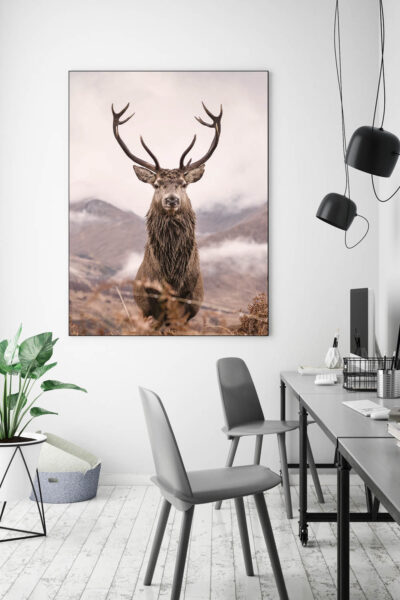 Akustikbild Hirsch 2