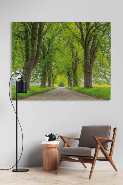 Akustikbild Die Allee