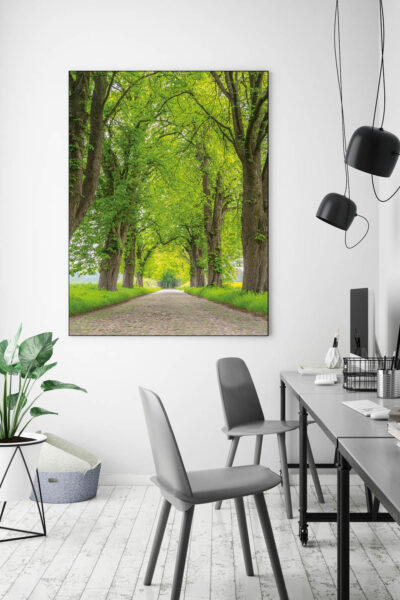 Akustikbild Die Allee