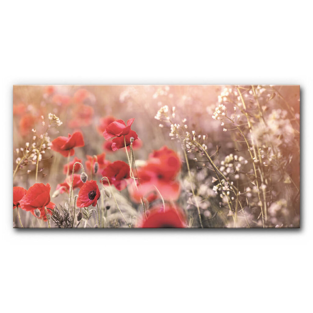 Akustikbild Wiese mit Mohn