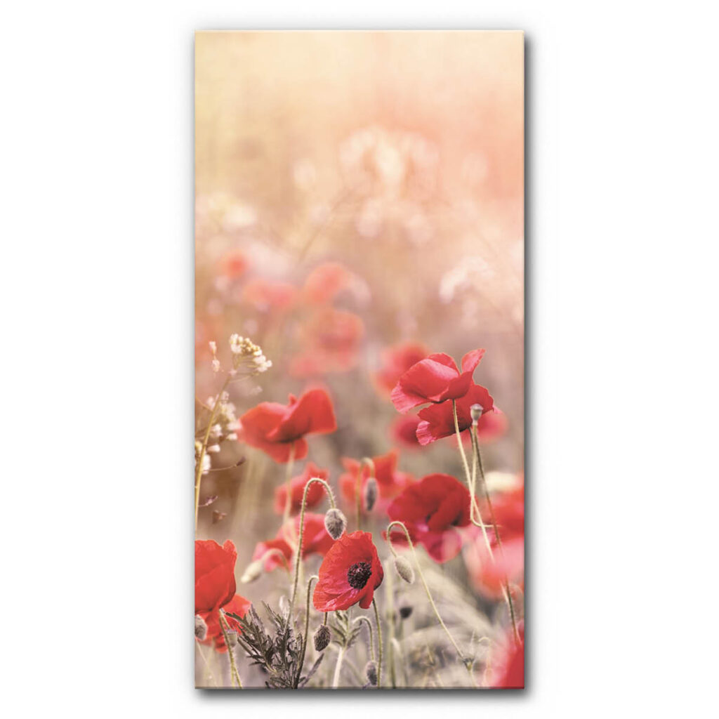 Akustikbild Wiese mit Mohn