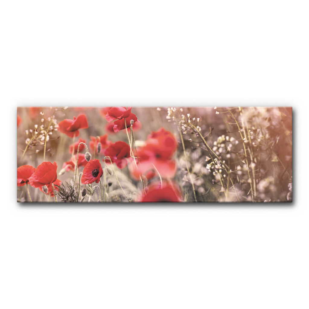 Akustikbild Wiese mit Mohn