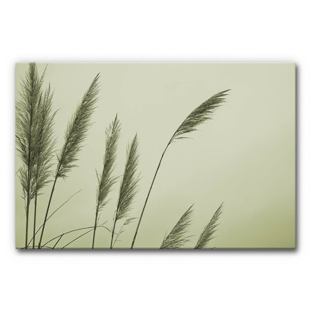 Akustikbild Schilf 2