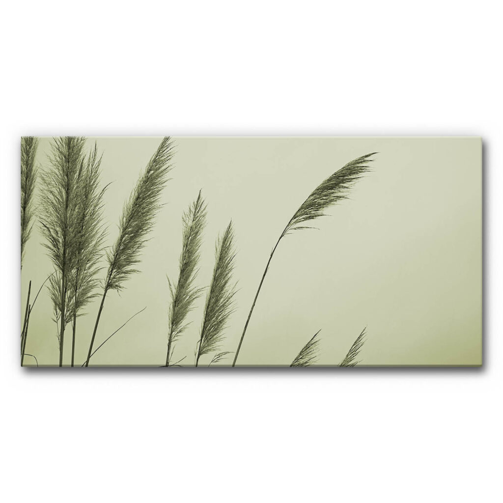 Akustikbild Schilf 2