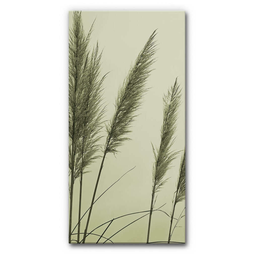 Akustikbild Schilf 2