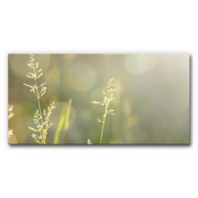 Akustikbild Gräser 2 – als Panorama bis 400 cm