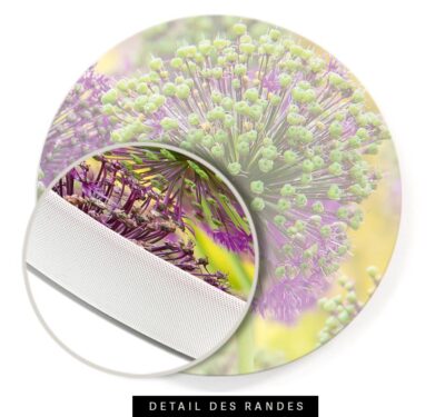 Rundes Akustikbild Allium 2