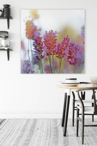 Akustikbild Lavendel