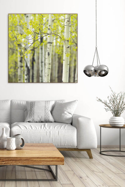 Akustikbild Birke 4