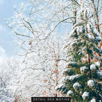 Akustikbild Winterwald 3