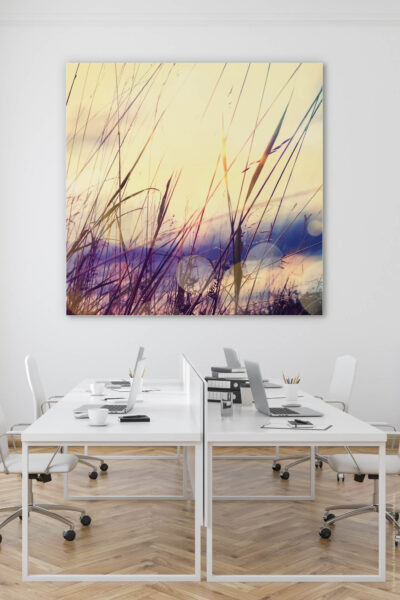 Akustikbild Gras im Sonnenaufgang