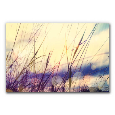 Akustikbild Gras im Sonnenaufgang