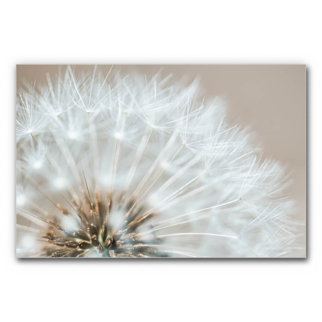 Akustikbild Sommerhauch