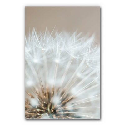 Akustikbild Sommerhauch
